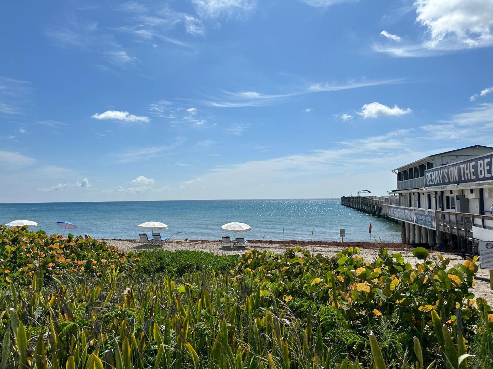 5 Min To Beach Large Living Room Fenced Backyard Bbq Firepit Driveway Boat Parking Lake Worth Beach Εξωτερικό φωτογραφία